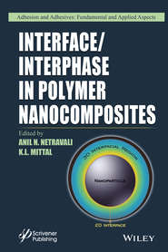 Interface \/ Interphase in Polymer Nanocomposites