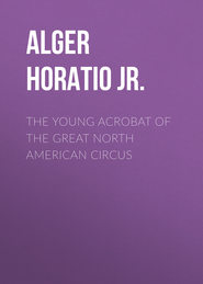 The Young Acrobat of the Great North American Circus