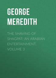 The Shaving of Shagpat; an Arabian entertainment. Volume 3