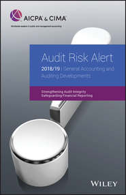 Audit Risk Alert: General Accounting and Auditing Developments 2018\/19