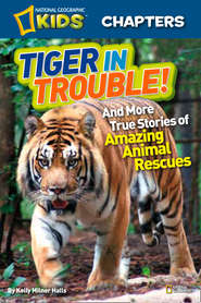 National Geographic Kids Chapters: Tiger in Trouble!: and More True Stories of Amazing Animal Rescues