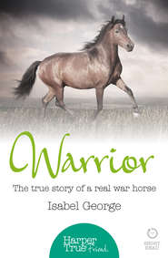 Warrior: The true story of the real war horse