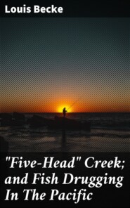 \"Five-Head\" Creek; and Fish Drugging In The Pacific
