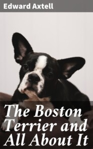 The Boston Terrier and All About It