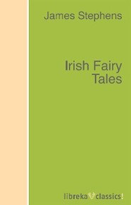 Irish Fairy Tales
