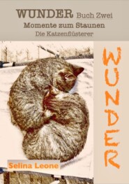 WUNDER \/ Momente zum Staunen - Buch Zwei \/ Die Katzenflüsterer