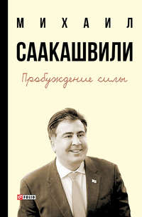 Ющенко: Крым нужно было защищать силой