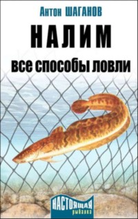 Зимняя рыбалка в регионе организована в 14 районах области — Правительство Саратовской области