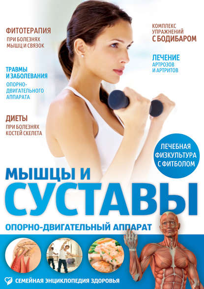 

Мышцы и суставы. Опорно-двигательный аппарат