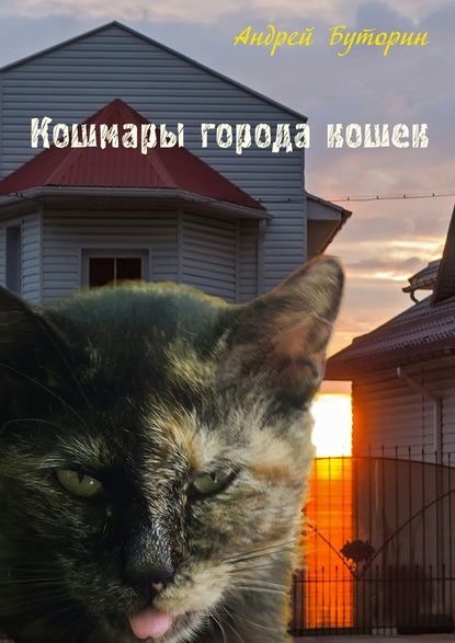 Андрей Русланович Буторин - Кошмары города кошек