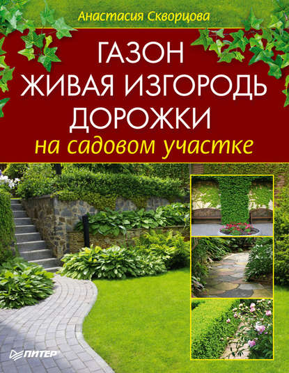 Анастасия Скворцова — Газон, живая изгородь, дорожки на садовом участке