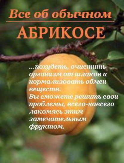 Иван Дубровин — Все об обычном абрикосе