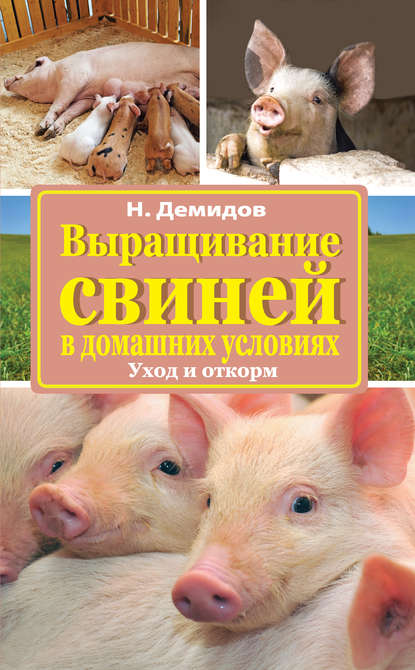 Демидов Николай Выращивание свиней в домашних условиях. Уход и откорм
