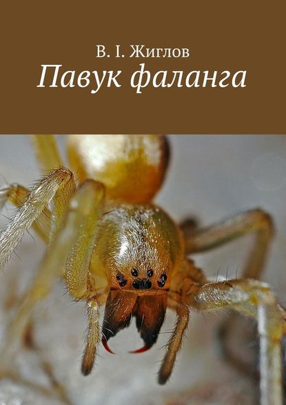 В. И. Жиглов — Павук фаланга