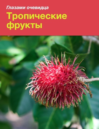 Екатерина Пугачёва Тропические фрукты