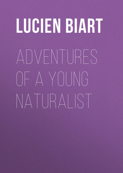 Lucien Biart — Adventures of a Young Naturalist