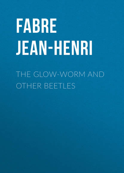 The Glow-Worm and Other Beetles (Fabre Jean-Henri). 