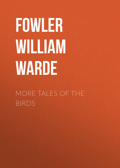 More Tales of the Birds (Fowler William Warde). 