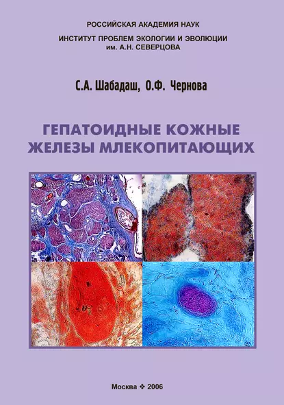 Обложка книги Гепатоидные кожные железы млекопитающих, С. А. Шабадаш