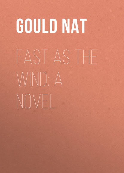 Fast as the Wind: A Novel (Gould Nat).  - Скачать | Читать книгу онлайн