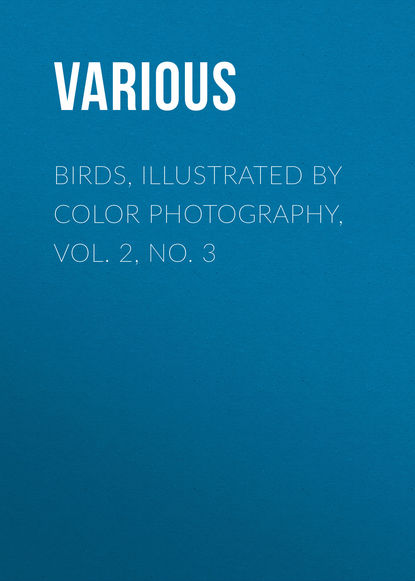 Birds, Illustrated by Color Photography, Vol. 2, No. 3 - Various