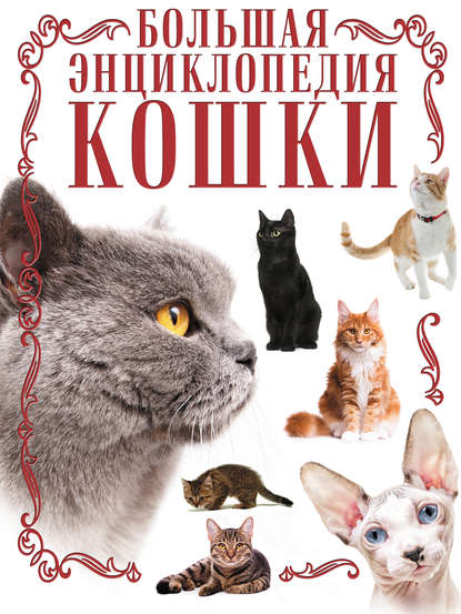 

Кошки. Большая энциклопедия