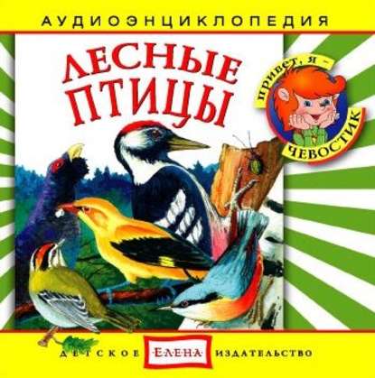 Детское издательство Елена — Лесные птицы