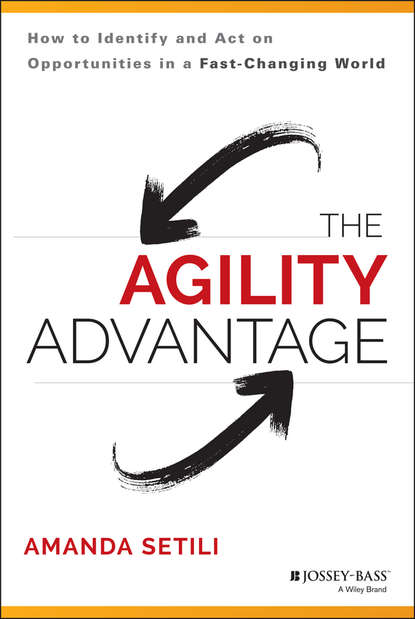 Amanda Setili — The Agility Advantage. How to Identify and Act on Opportunities in a Fast-Changing World