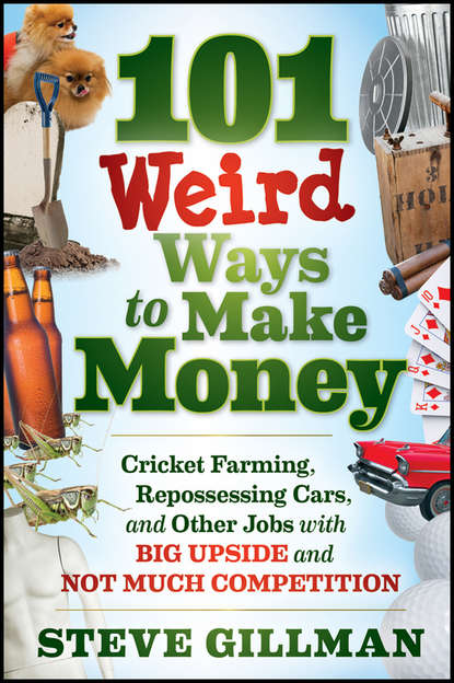 Steve Gillman — 101 Weird Ways to Make Money. Cricket Farming, Repossessing Cars, and Other Jobs With Big Upside and Not Much Competition
