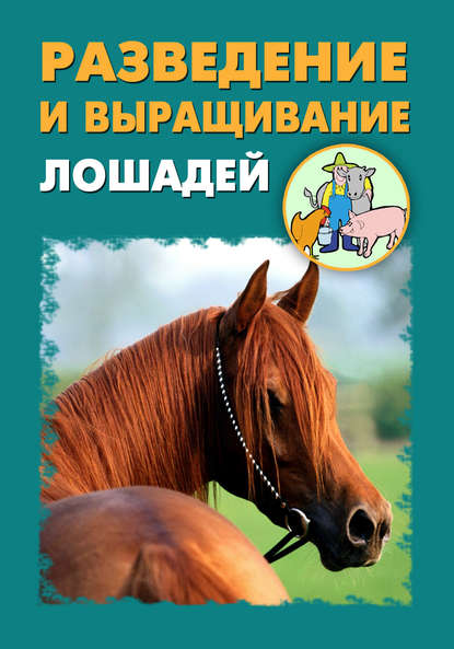 Илья Мельников — Разведение и выращивание лошадей
