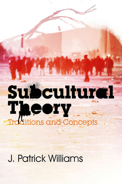 J. Williams Patrick — Subcultural Theory. Traditions and Concepts