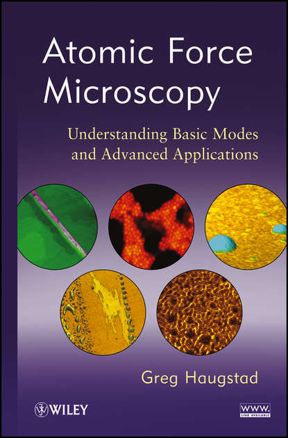Greg  Haugstad - Atomic Force Microscopy. Understanding Basic Modes and Advanced Applications