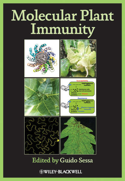 Molecular Plant Immunity (Guido  Sessa). 