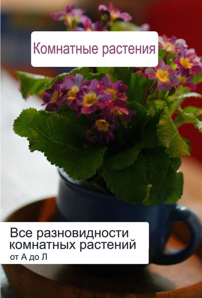 Илья Мельников — Все разновидности комнатных растений (от А до Л)