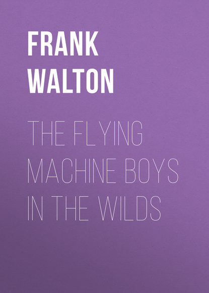 Frank Walton — The Flying Machine Boys in the Wilds