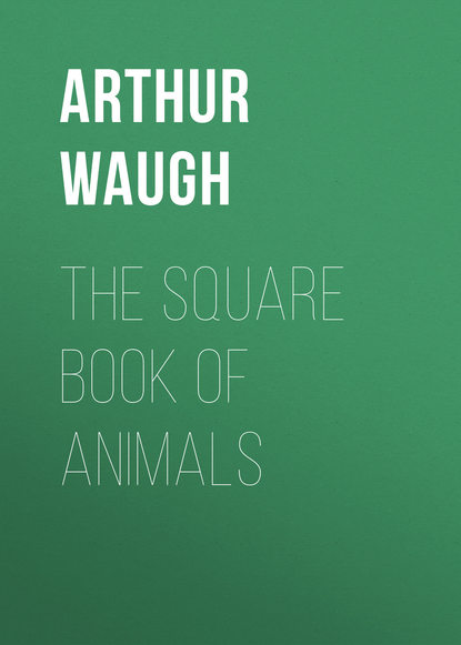 The Square Book of Animals