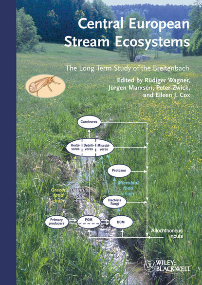 Central European Stream Ecosystems - Группа авторов