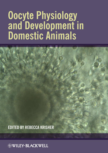 Группа авторов - Oocyte Physiology and Development in Domestic Animals