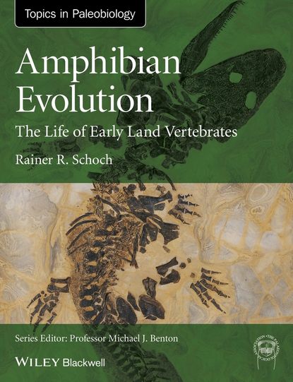 Rainer R. Schoch - Amphibian Evolution