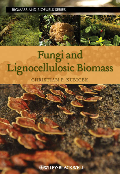 Fungi and Lignocellulosic Biomass - Группа авторов