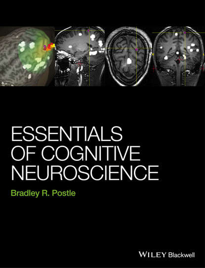 Essentials of Cognitive Neuroscience - Bradley R.  Postle