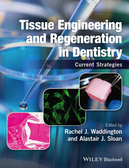 Tissue Engineering and Regeneration in Dentistry - Группа авторов