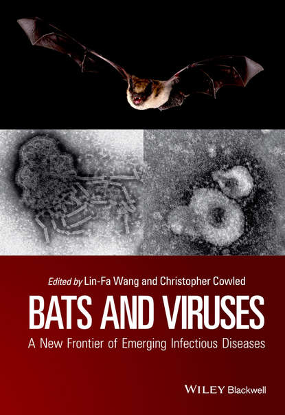 Группа авторов - Bats and Viruses
