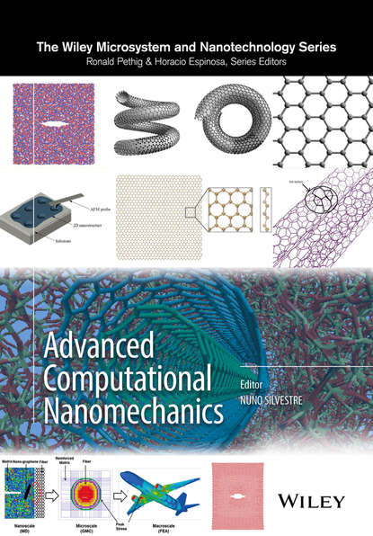 Nuno Silvestre - Advanced Computational Nanomechanics