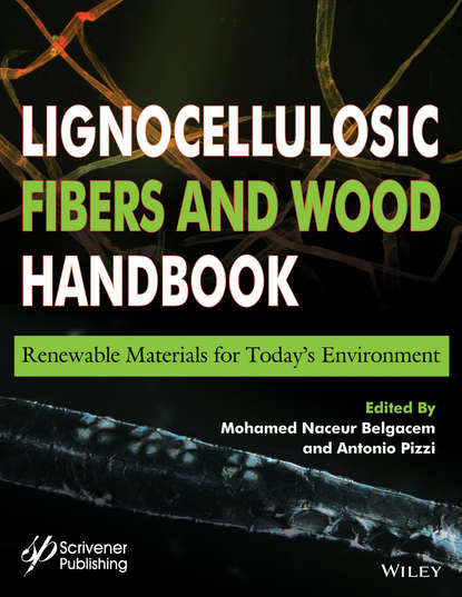 Группа авторов - Lignocellulosic Fibers and Wood Handbook