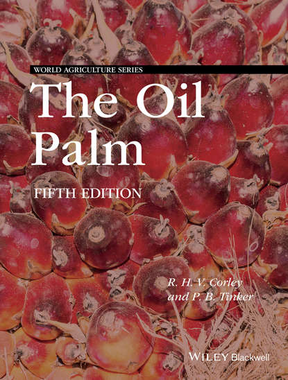 The Oil Palm