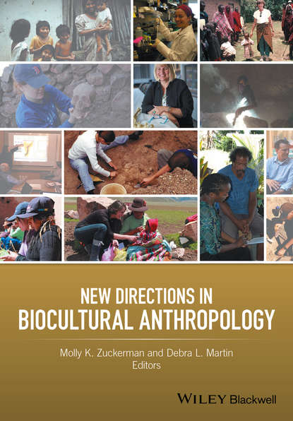 Группа авторов - New Directions in Biocultural Anthropology