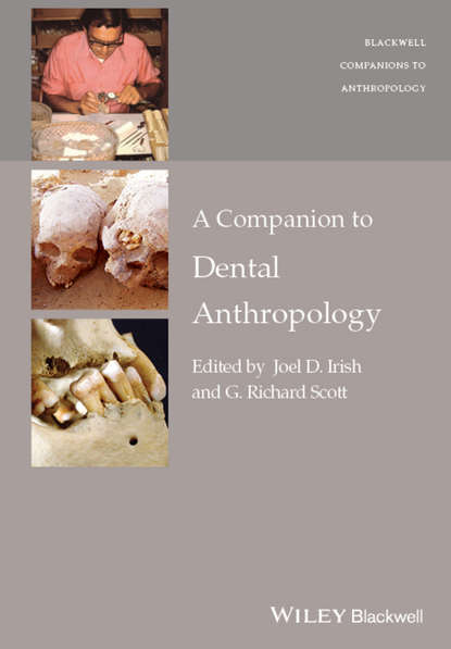 Joel D. Irish - A Companion to Dental Anthropology