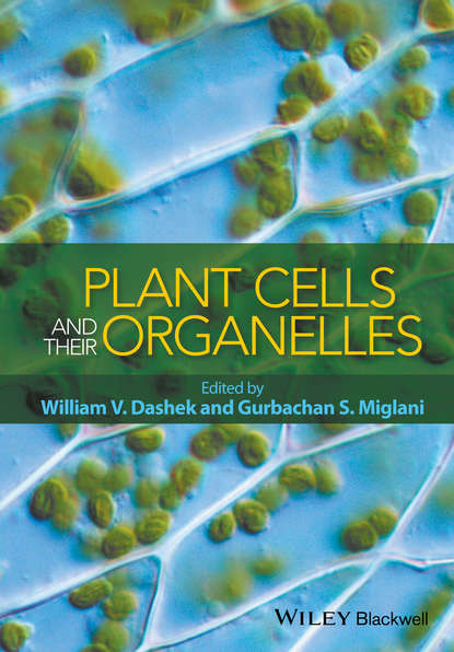 Группа авторов - Plant Cells and their Organelles