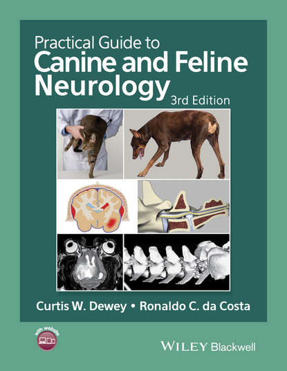 Группа авторов - Practical Guide to Canine and Feline Neurology